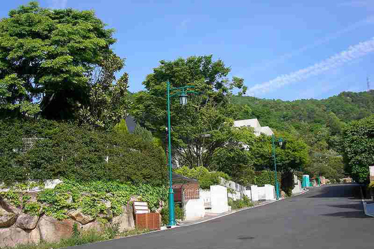 市 町 芦屋 六麓荘 六麓荘町について